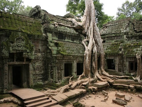 Angkor Wat Daily Tour