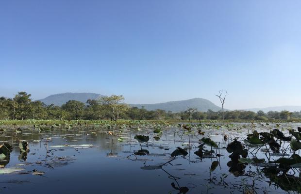 Preah Vihear + Koh Ker Daily Tour