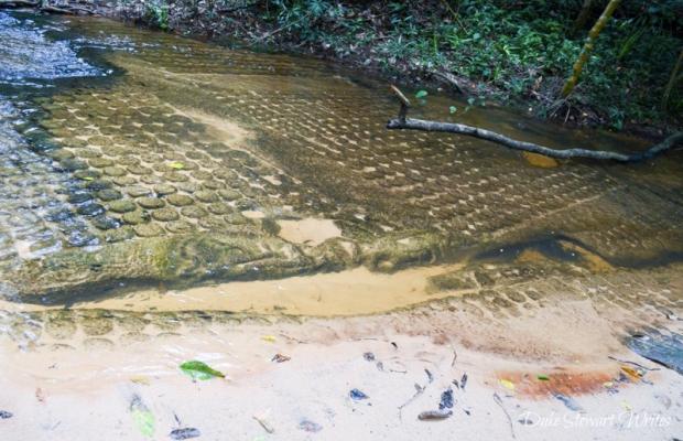 Phnom Kulen (Waterfall) Daily Tour